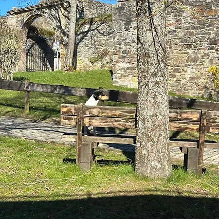 Halleluja Mit Burgblick *