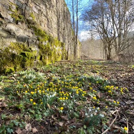 Halleluja Mit Burgblick Hellenthal